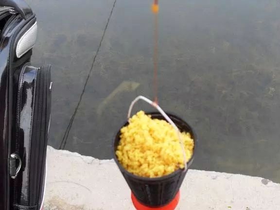 白条垂钓技巧全解析