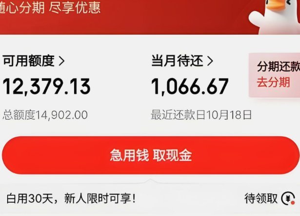 白条额度取出来