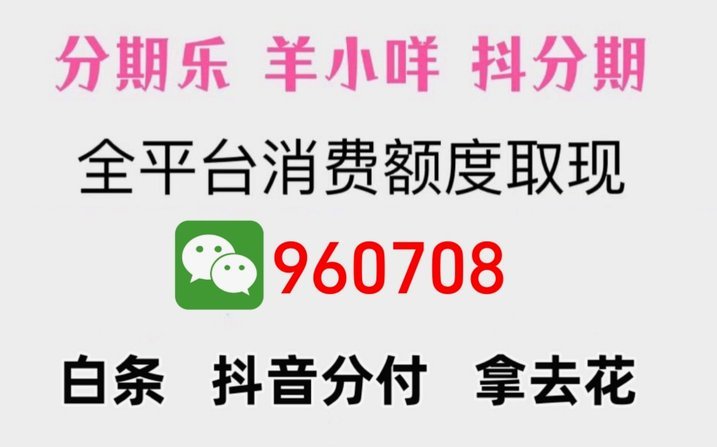 羊小咩哪里还款