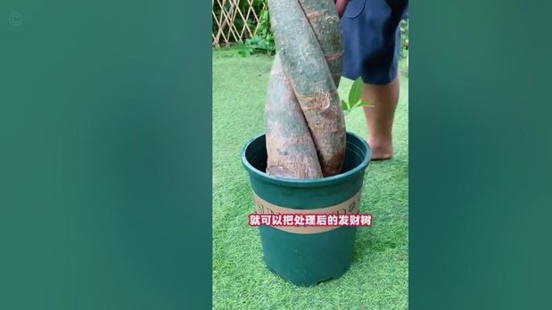 享受当下，代价是几何？