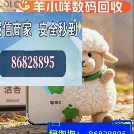 怎么把羊小咩的钱套出来