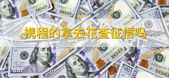 携程拿去花怎么用支付宝还款
