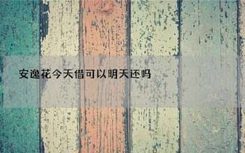 透视安逸花“明日再试”背后的财务焦虑与剥削循环