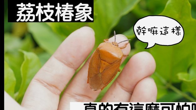 便荔卡套现手续费 怎么算的