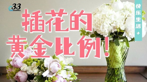 套花呗背后的风险行为揭秘