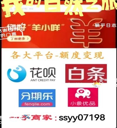 羊小咩e卡：安全高效支付新方案