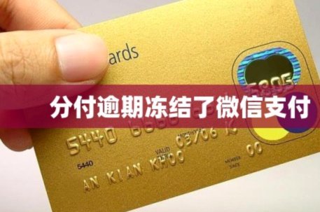 分付要扫哪种二维码才能消费