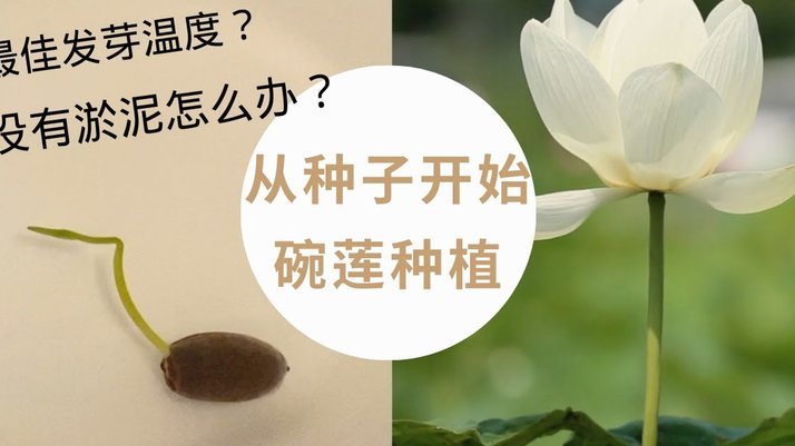 携程拿去花怎么看额度