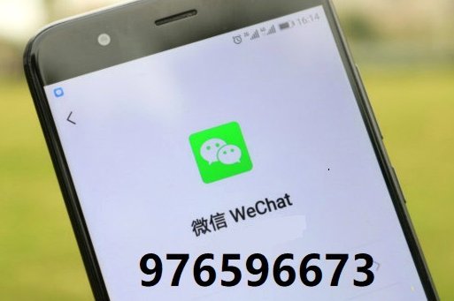 分期乐套现背后的联系人与风险