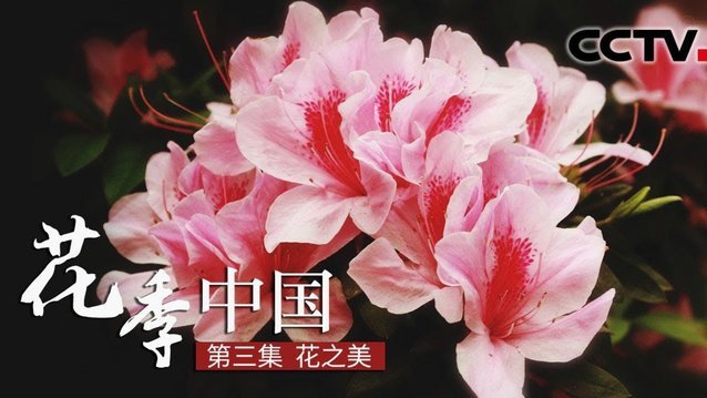 花呗取现手续费多少