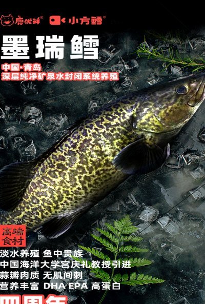 鹿优鲜：供应链整合与品控优化的社区团购新典范