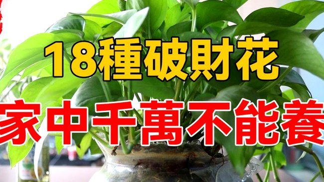 花套现：灰色价值通道