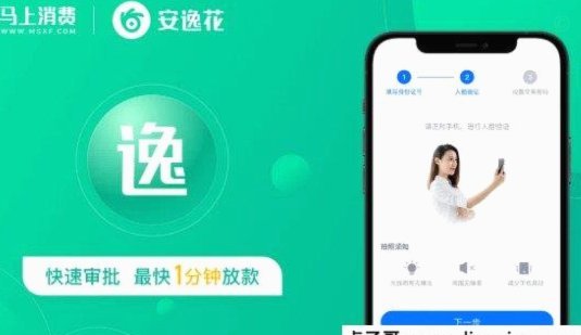 安逸花今天借钱明天可以还款吗