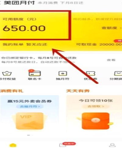美团月付：额度提升技巧与风控揭秘