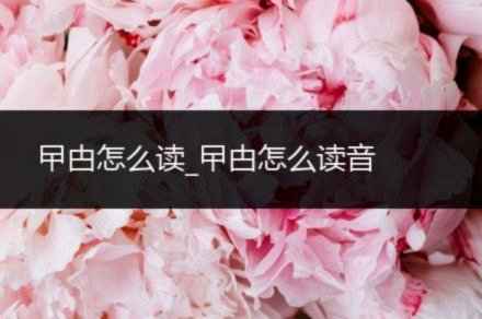 分付套现：风险与正确用法