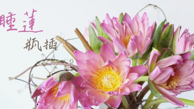 花呗“钱”的真相：它到底买的是信用还是数据？