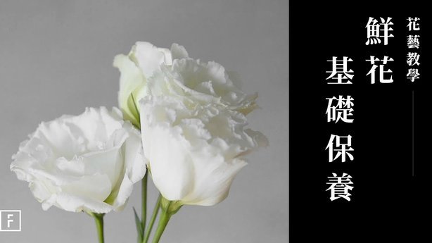 花呗高级使用技巧：如何不触发风控系统的预警？