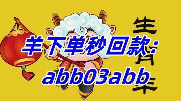 羊小咩500：时尚女性的精致之选