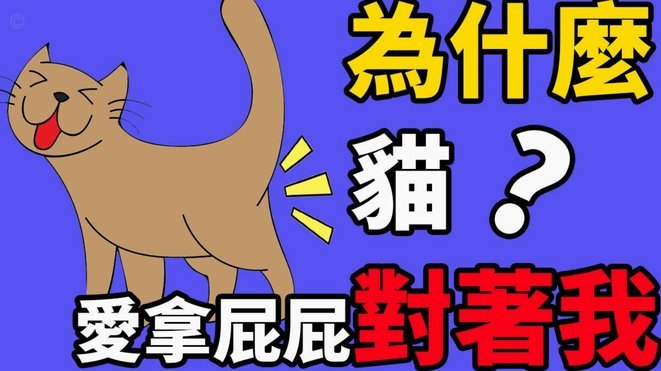 白条取现当天到账吗及资金安全性详细解析