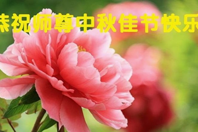花呗秒到账