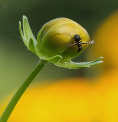 拿去花提现靠谱吗？