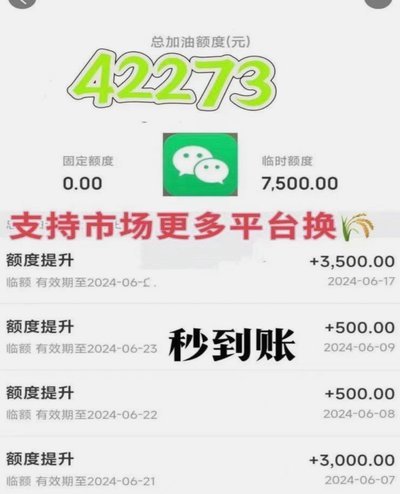 白条使用策略：合理规划与风险防范