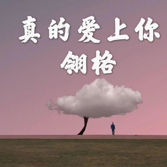 分期乐是真的吗