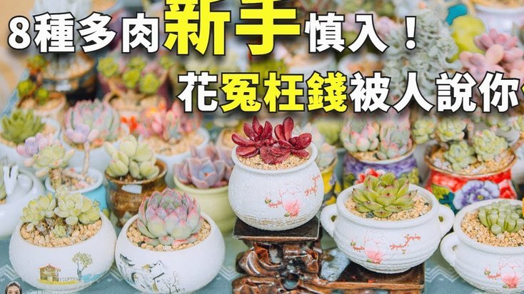 花呗怎么提取钱