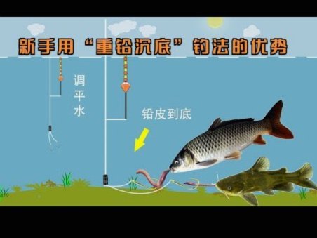 春季钓大白条鱼技巧