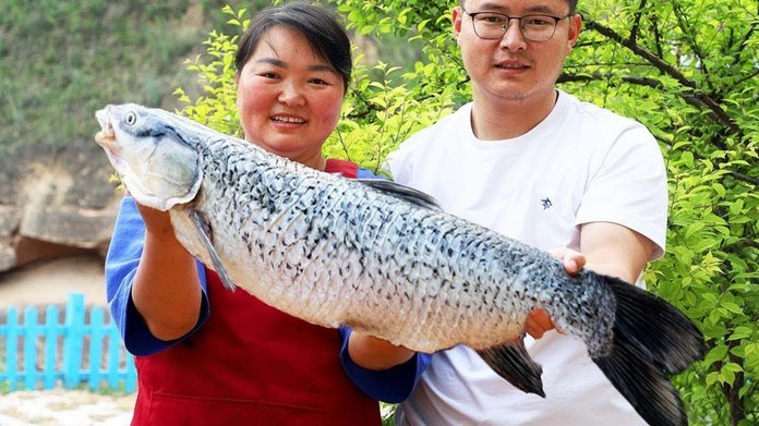 白条鱼怎么钓才能钓到大鱼