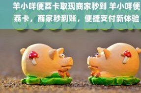 便荔卡取现秒到