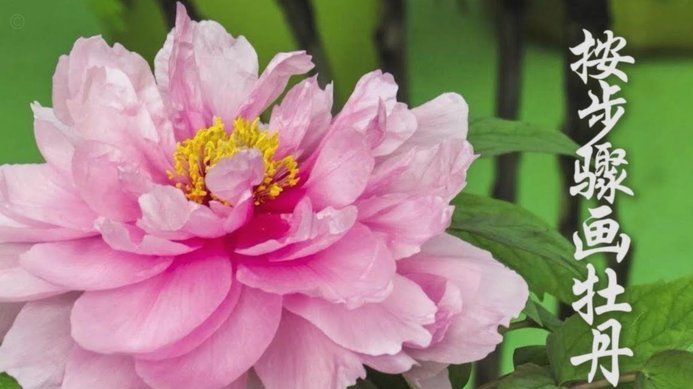 花呗商家如何实现安全变现